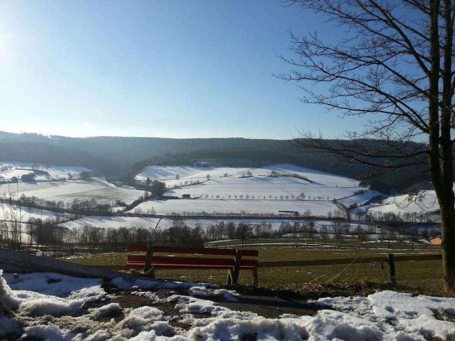 Gemuetliche Wohnung Rothaarsteig Ski Sauna Ruhrtal Green Hill Schmallenberg Luaran gambar